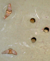 Rivet fendu pointu. Rivet fendu pointu.