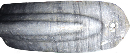 Partie arrière, exemplaire à pointe ogivale. Partie arrière, exemplaire à pointe ogivale.