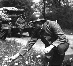 La drôle de guerre. La drôle de guerre.