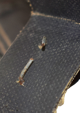 Agrafe de fixation de tampon amortisseur. Agrafe de fixation de tampon amortisseur.