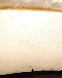 Bandeau de mousse. Bandeau de mousse.