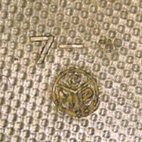 Consolidated Molded Products (CMP). Consolidated Molded Products (CMP).