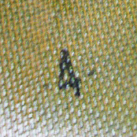 Consolidated Molded Products (CMP). Consolidated Molded Products (CMP).