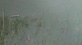 Ingersoll. Ingersoll.