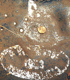 Version CRS, taille P, 1953. Version CRS, taille P, 1953.